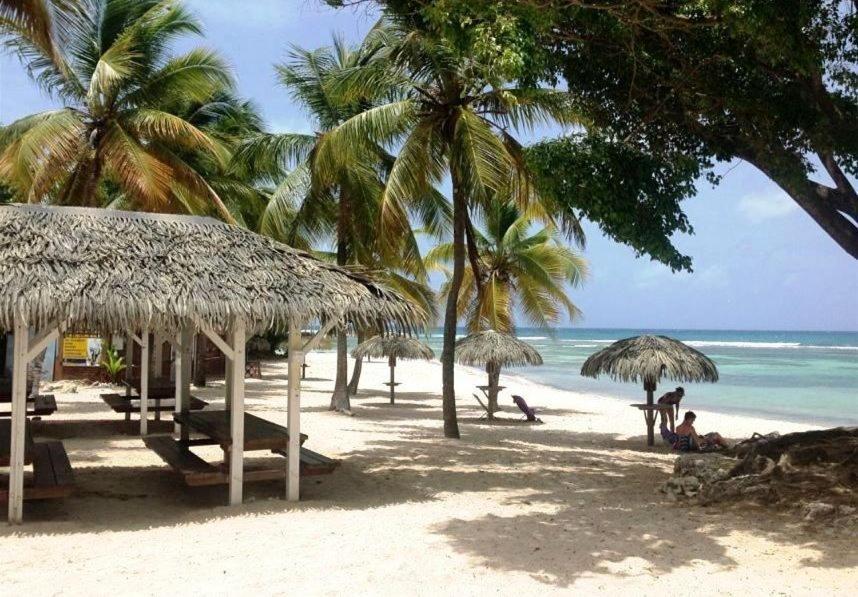Le Ti'Paradise Anse Des Rochers Belle-Allée Exterior photo
