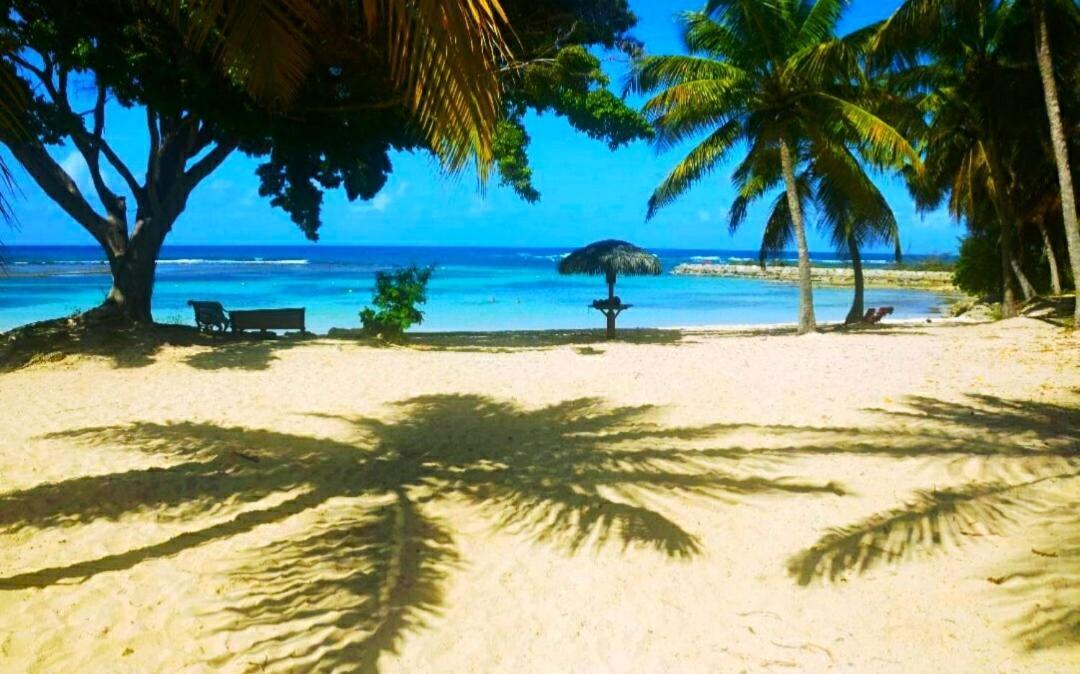 Le Ti'Paradise Anse Des Rochers Belle-Allée Exterior photo