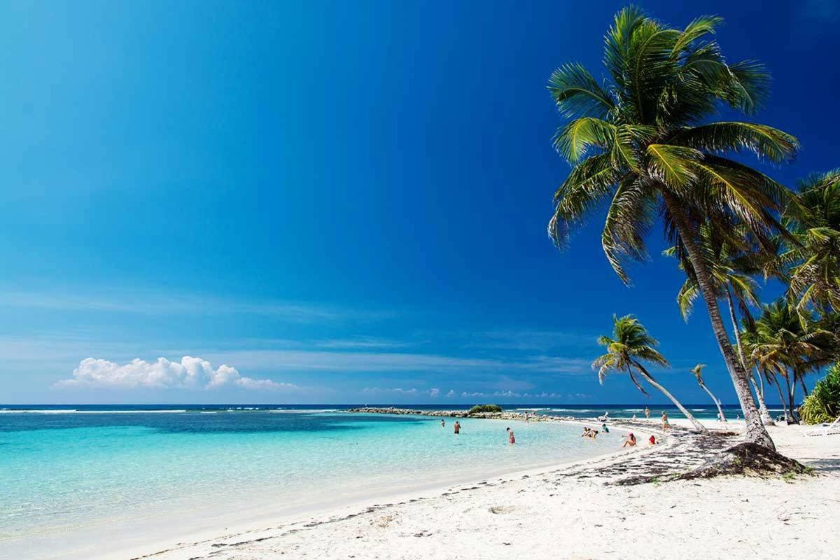 Le Ti'Paradise Anse Des Rochers Belle-Allée Exterior photo