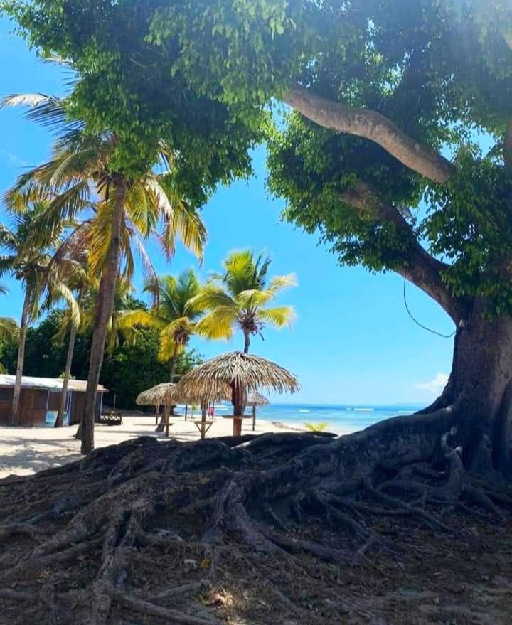 Le Ti'Paradise Anse Des Rochers Belle-Allée Exterior photo